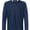 Adidas Adidas A295 Collegiate Navy swatch